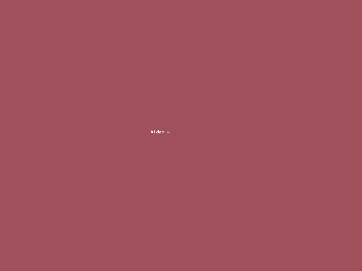 Placeholder video 4
